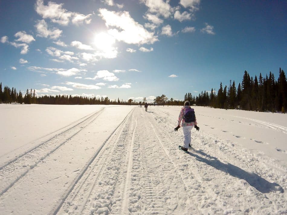 sneeuwschoenwandelen3_export_w950_export_w950