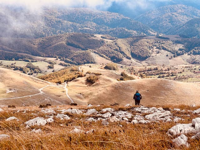 IMG 1597 Selectie Anne Cornut W950