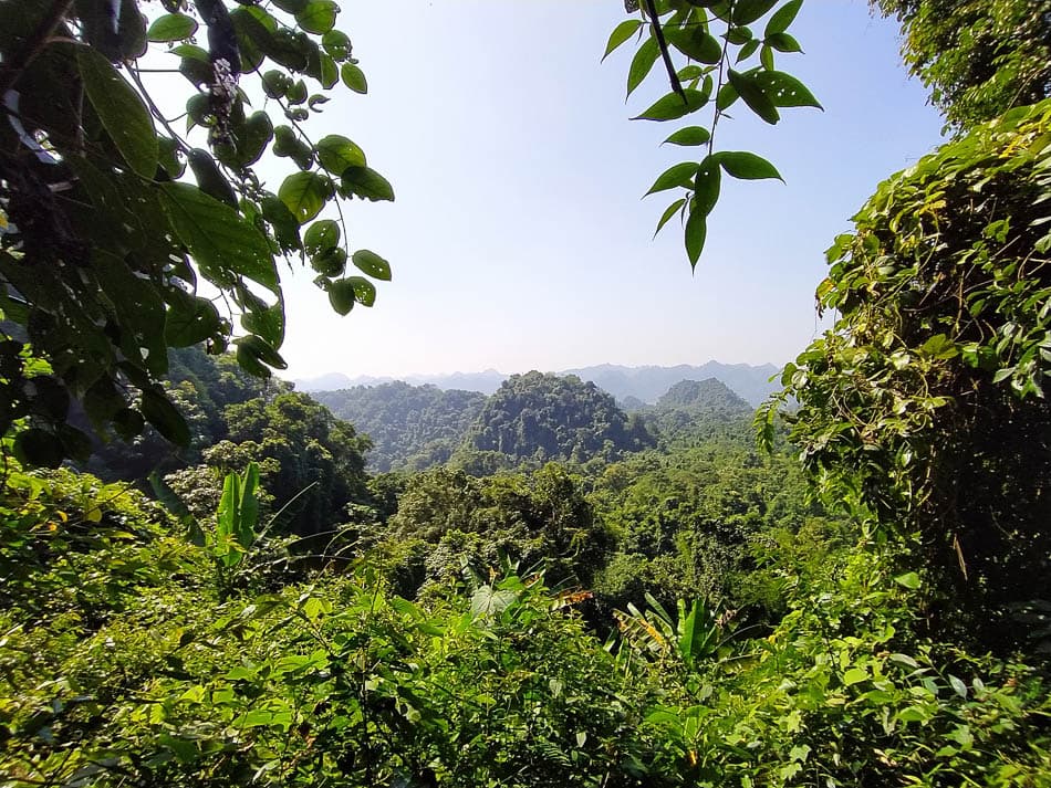 IMG 20241110 121234 Charlotte Charlotte Stevens W950