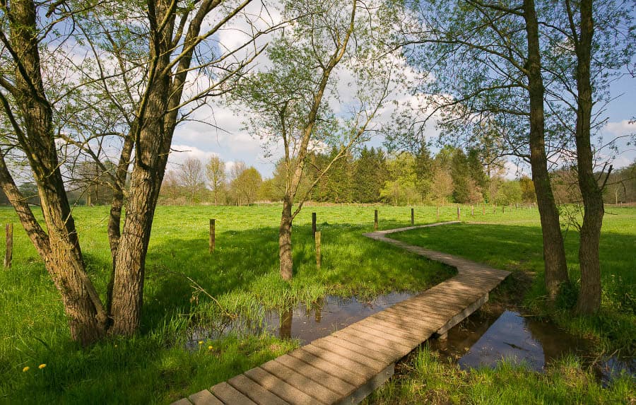Selectie Bart Heerlijk Heuvelachtigwandelingen 7 Knuppelpad De Doode Bemde (Lokaal Bestuur Huldenberg) Huldenberg