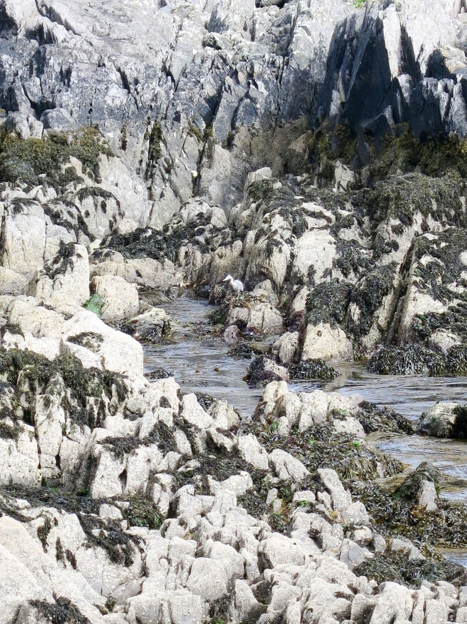 Beara-080_export_w950