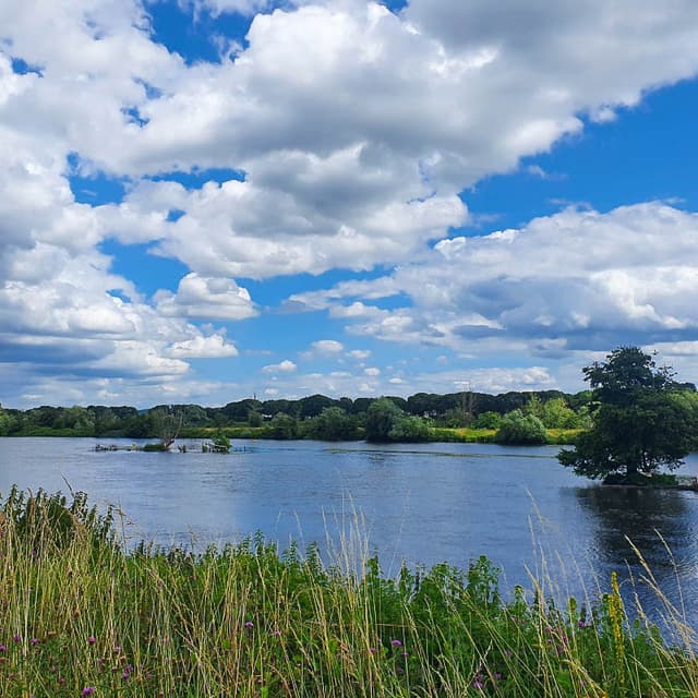 NL5DMA Merel Timmer_Dutch-Mountain-Trail-Maas_Merel Trimmer_w950