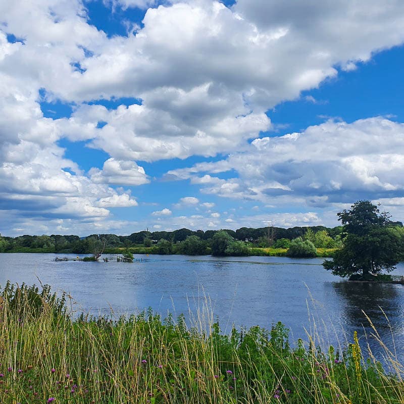 NL5DMA Merel Timmer_Dutch-Mountain-Trail-Maas_Merel Trimmer_w950