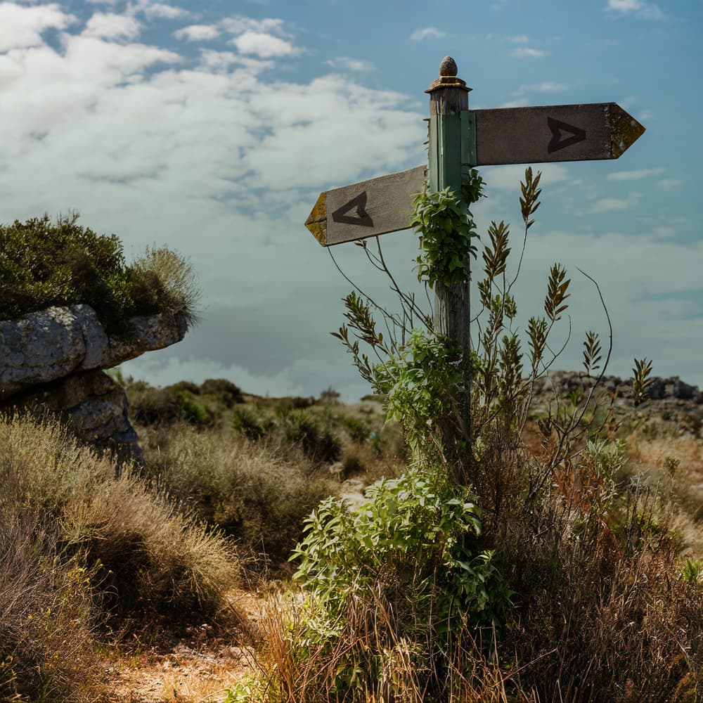 Andersreizenvoorbeginners (1)