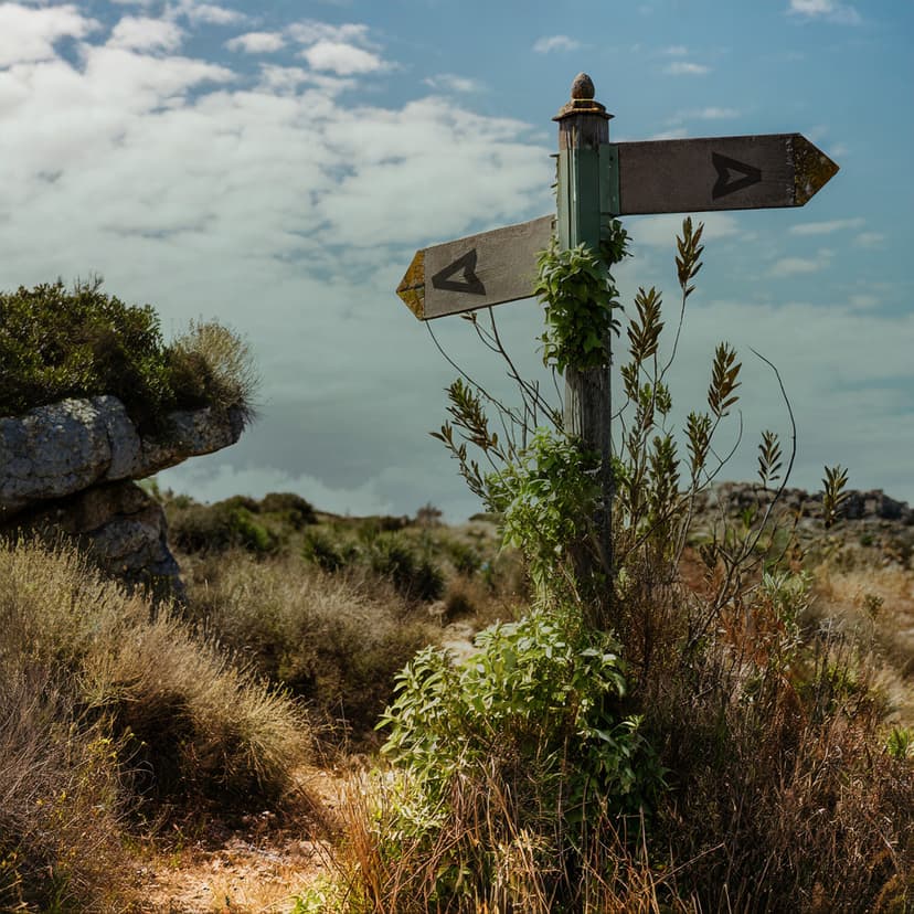 Andersreizenvoorbeginners (1)