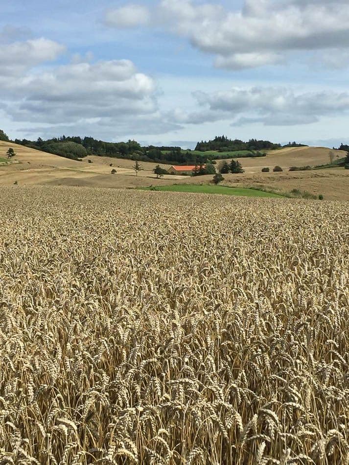 whatsapp-image-2021-10-09-10_katrien-boon_w950