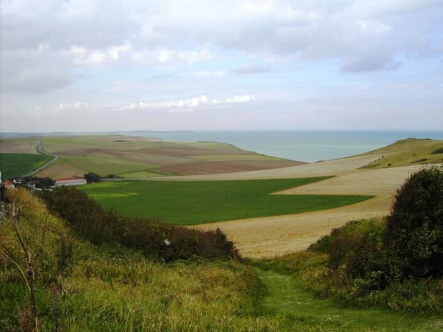 4 Wimereux 2008 Mathieu Roels (168) Export