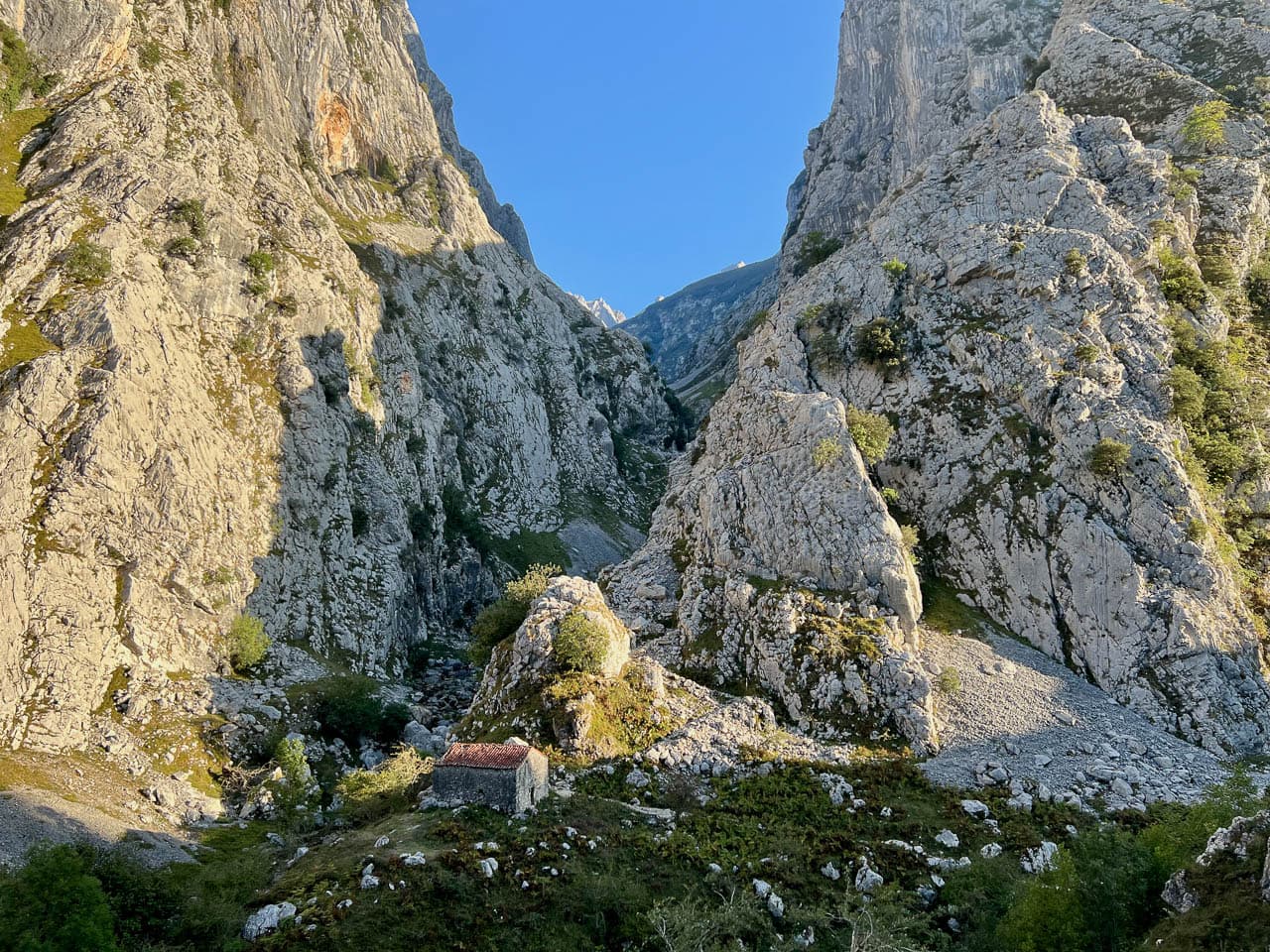 Selectie IMG 9091 Tom De Borger