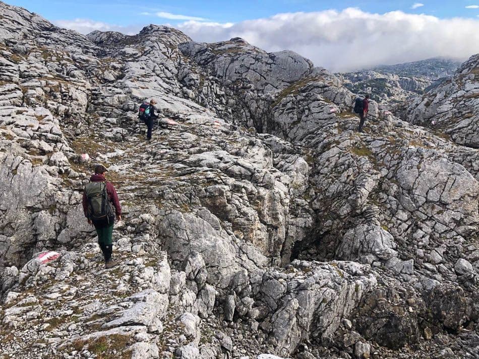 IMG-20210918-WA0077_Chantal Simons_w950