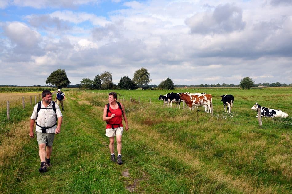 Brabants-Pajottenland_export_w950