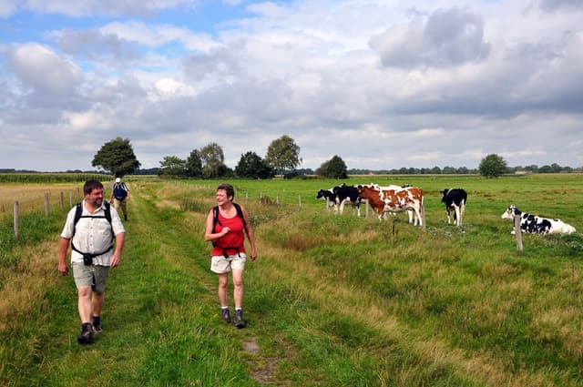 Brabants-Pajottenland_export_w950