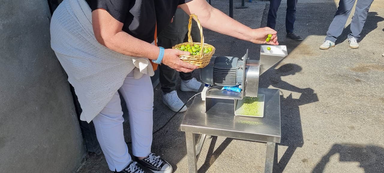 Selectie Lucie Dossche 20251015 115145 Lucie Dossche