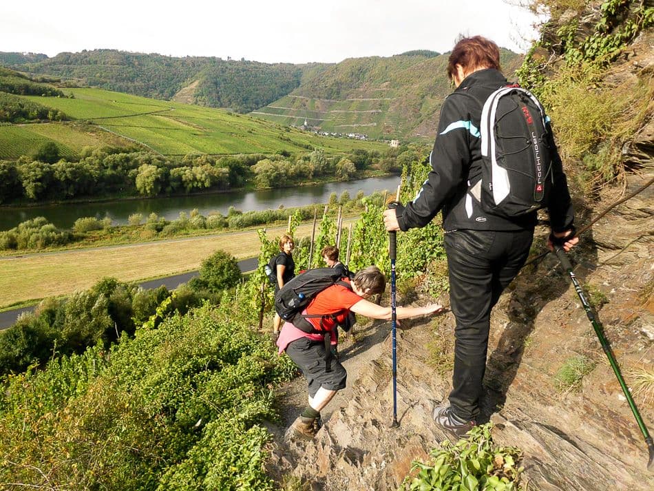 Moezel-12-Ann-Tilley-DSCI6639_export_w950