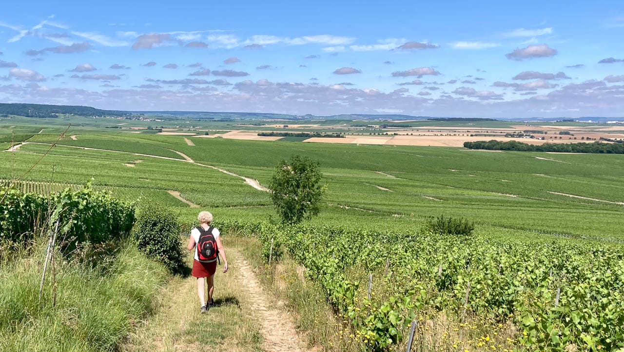 FR5CHA IMG 6553 Ann Tilley