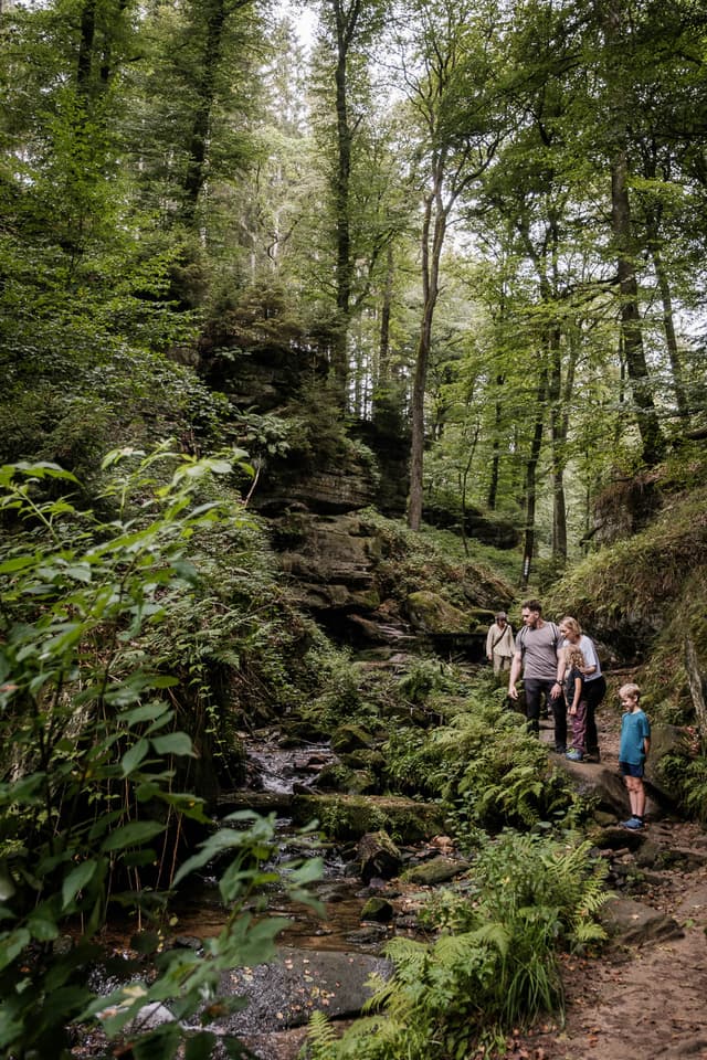 Beaufort Hallerbaach Haupeschbaach (C) Pancake ! Photographie (25) Marianne Origer LU5MTA Marianne Origer W950