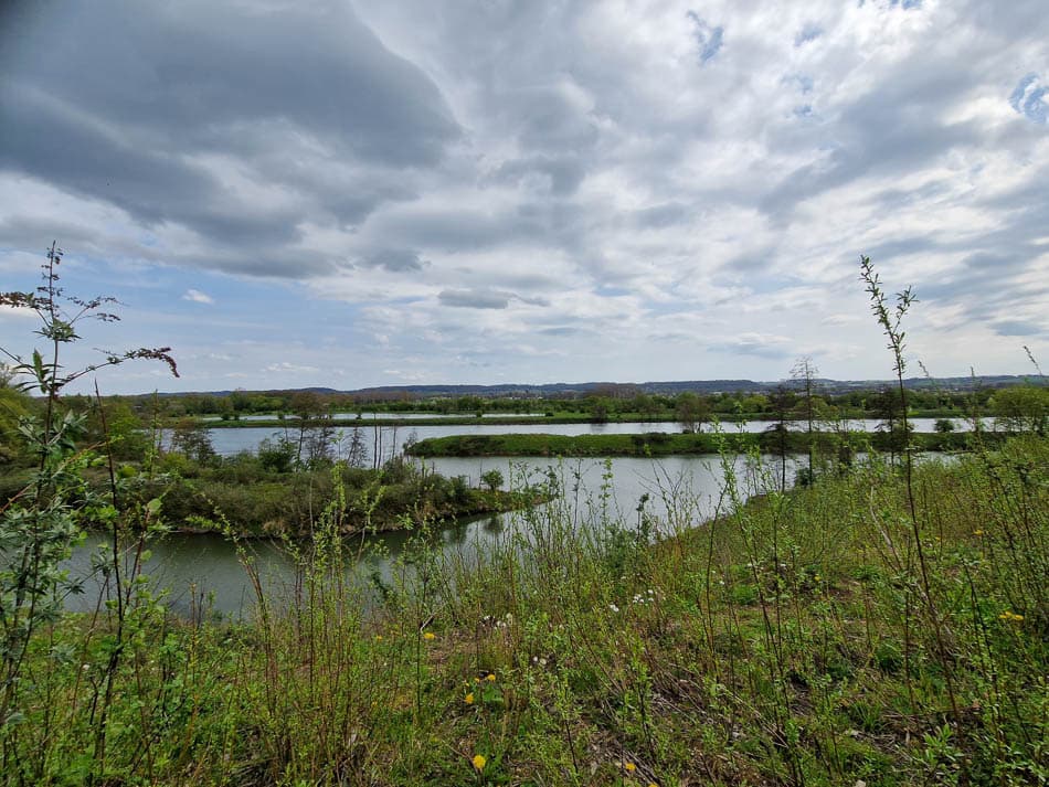 20230422_120936-NL5DMA Schrumpf Mirjam-Mirjam Schrumpf-w950