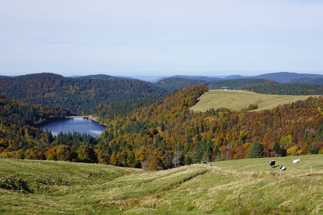 Bike Tours Vosges Cretes Lac De La Lande Selectie BTV W1280