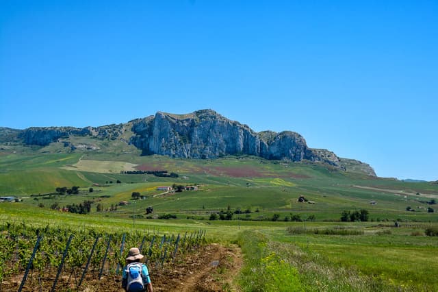 DSC 6116 Selectie Melissa Bernard Quintens W950