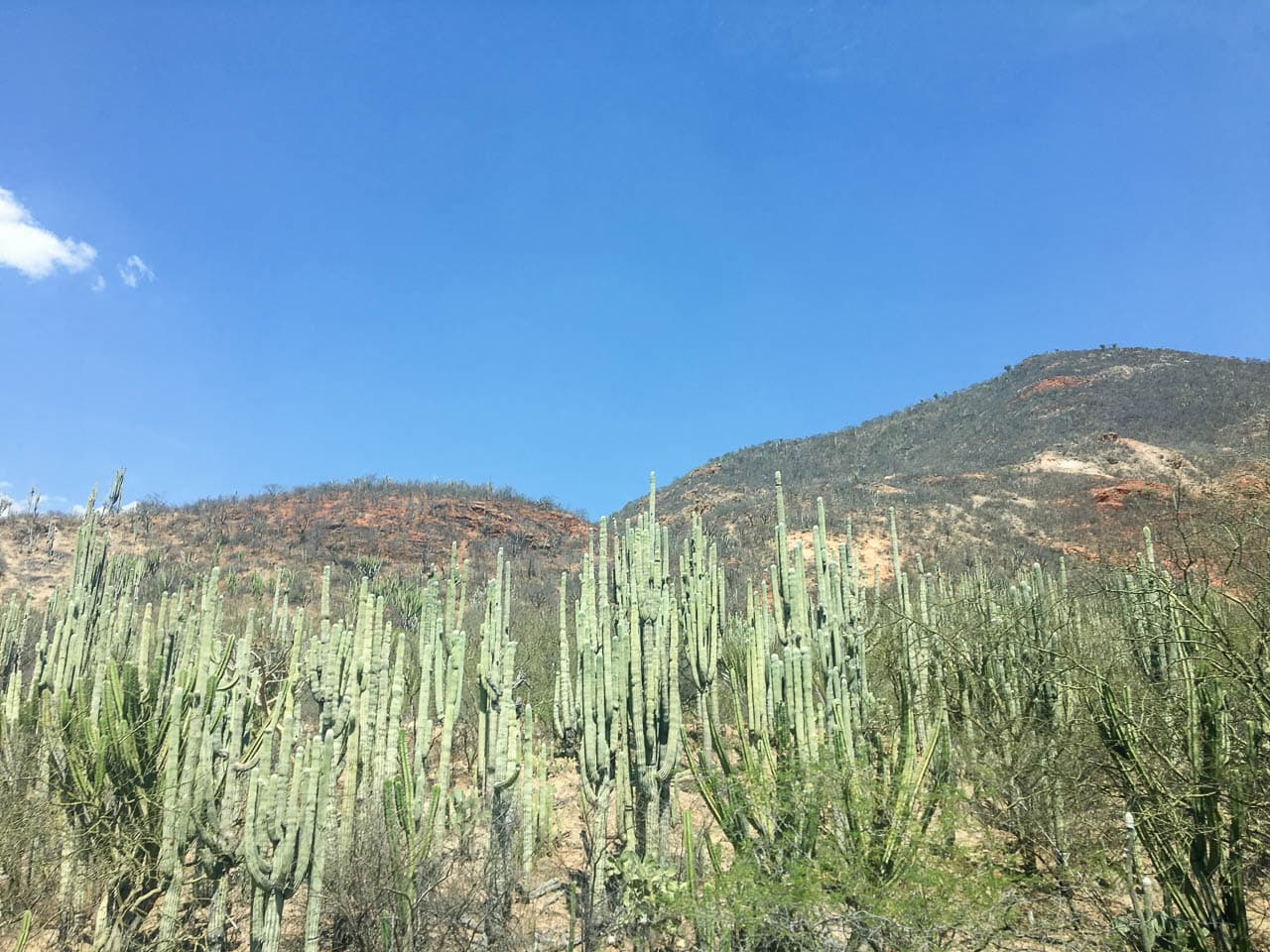 IMG 9106 Selectie Murielle Coppin W1280