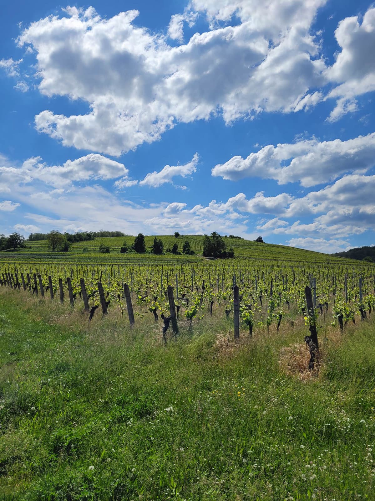 20250507 144712 FR6EZA Els Vandecasteele W1280