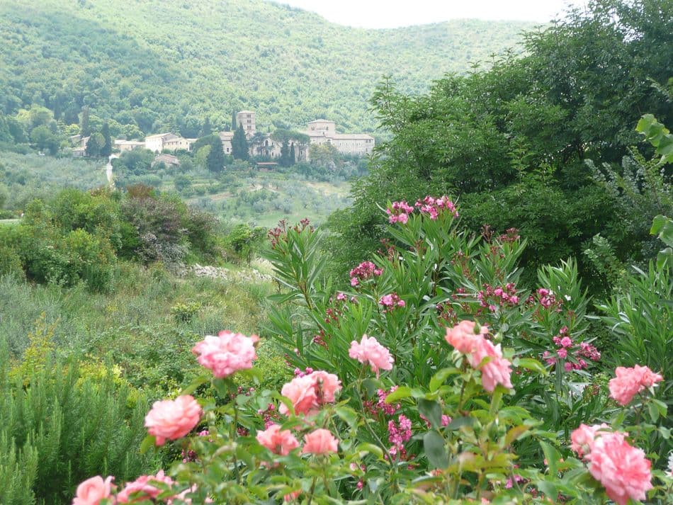 Monti-Sabini-Eric-Somerhausen-09-P1030860_export_w950