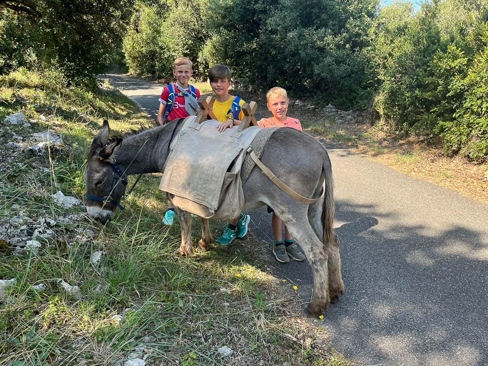 IMG 20240710 WA0007 Selectie Ann Van Hoefs W950