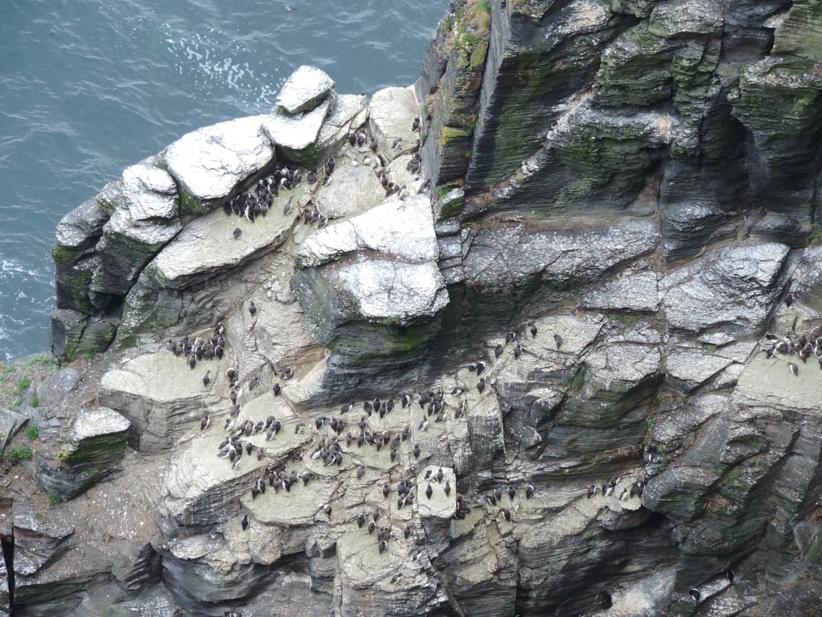 Dag 3 Cliffs Of Moher 25 Export