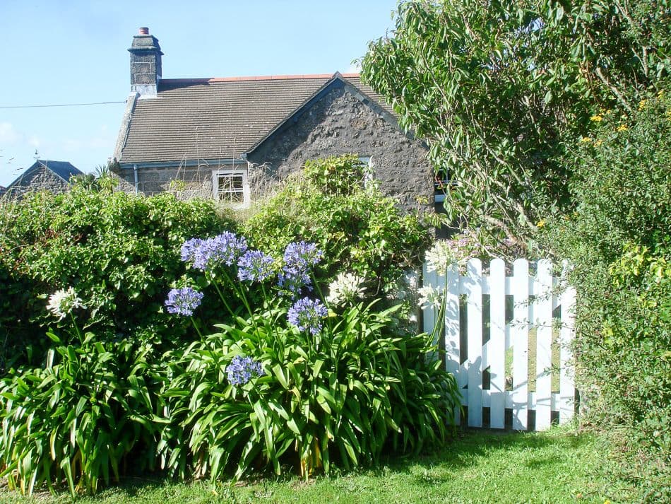 DSC06102_export_w950