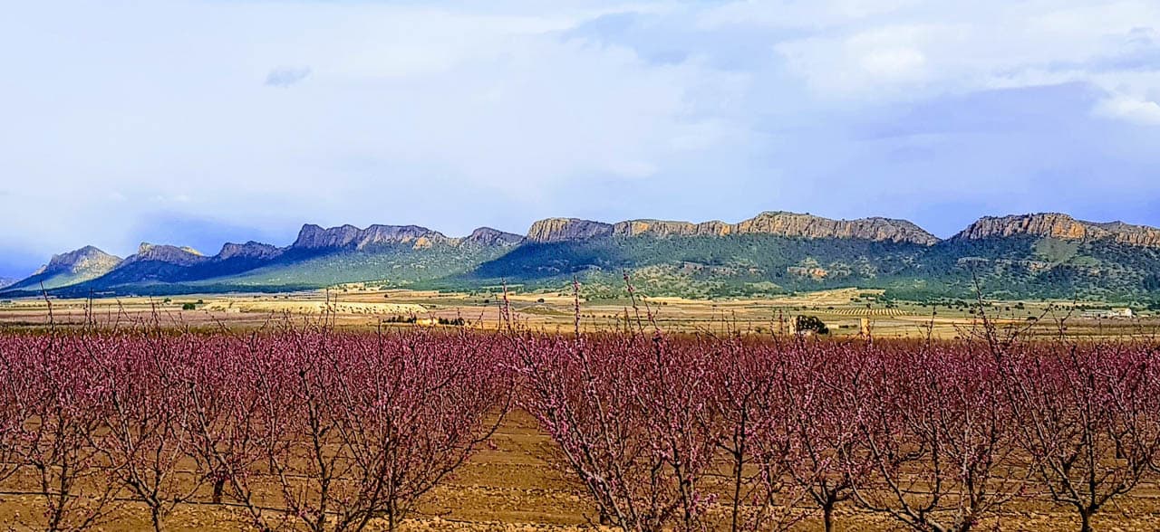 20180325 183712~2 Photos 1 001 W1280