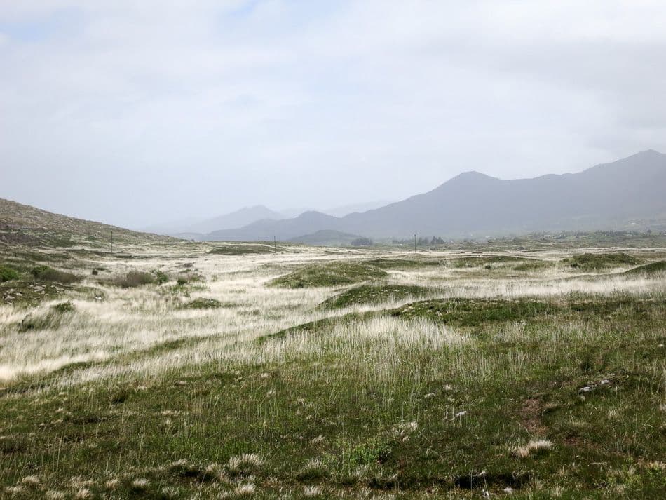 Beara-015_export_w950