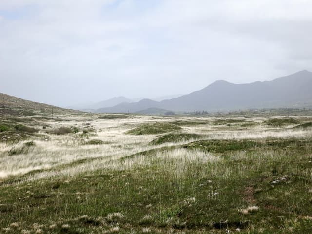 Beara-015_export_w950