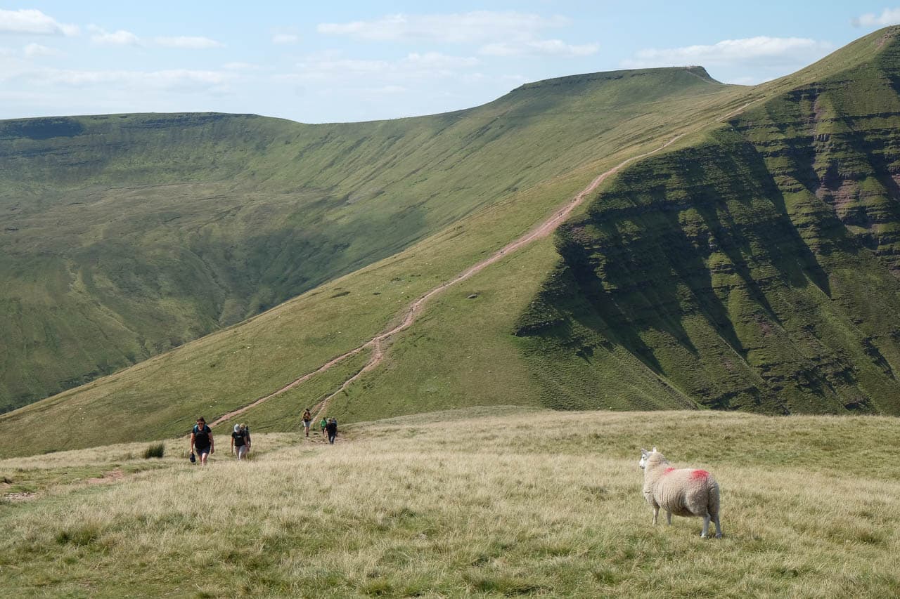 Maarten Caversoons DSCF5989 Maarten Caversoons