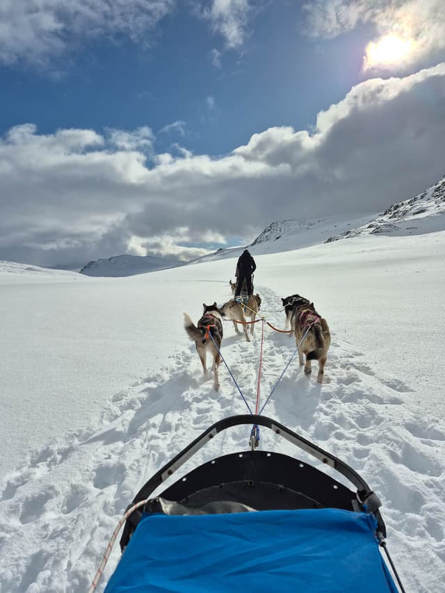 Selectie 20250314 122953 Edwin Vriesema