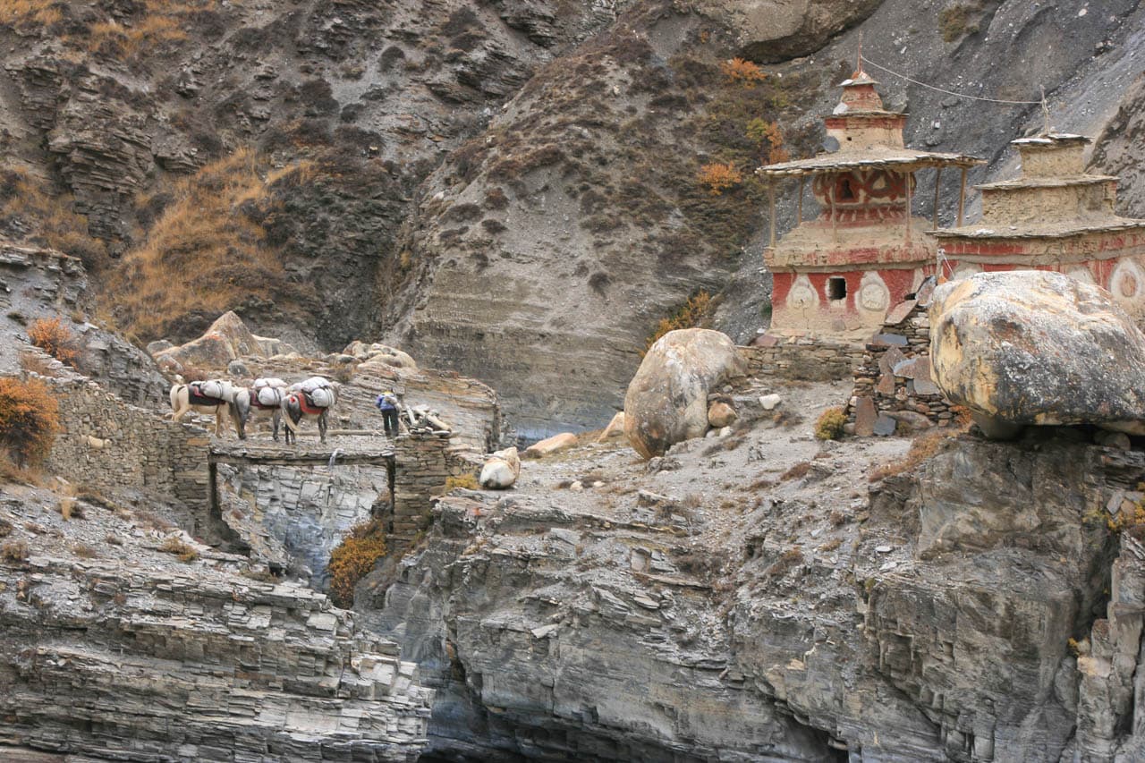 Selectie IMG 0107 (2020 12 08 17 19 11 UTC) Betty Moureaux