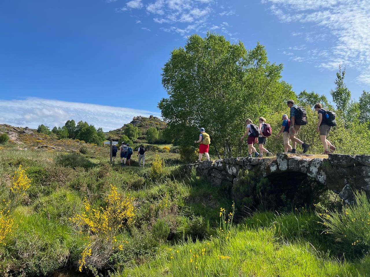 Selectie IMG 8282 Tom De Borger