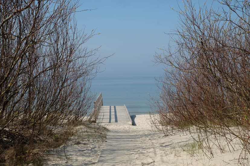 Website Selectie DSCF5658 Maarten Caversoons