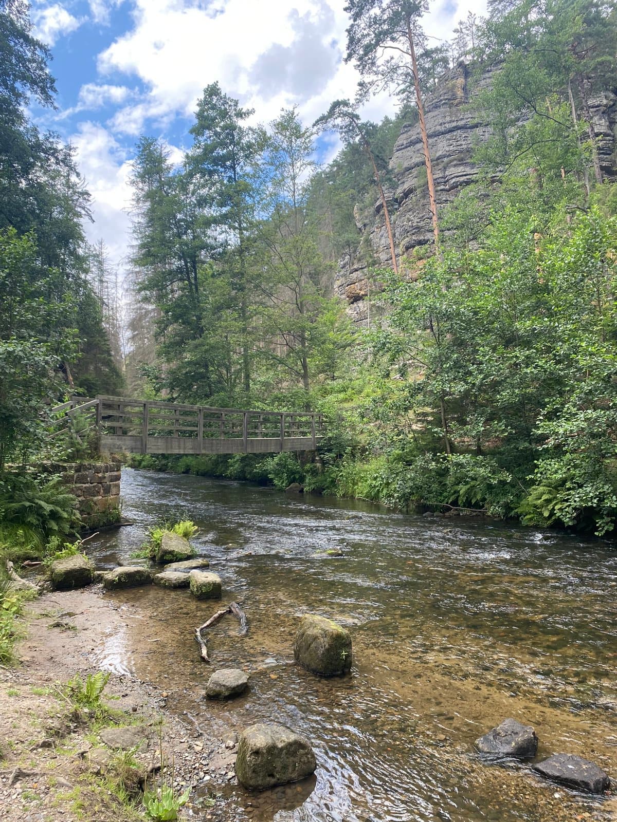 IMG 0635