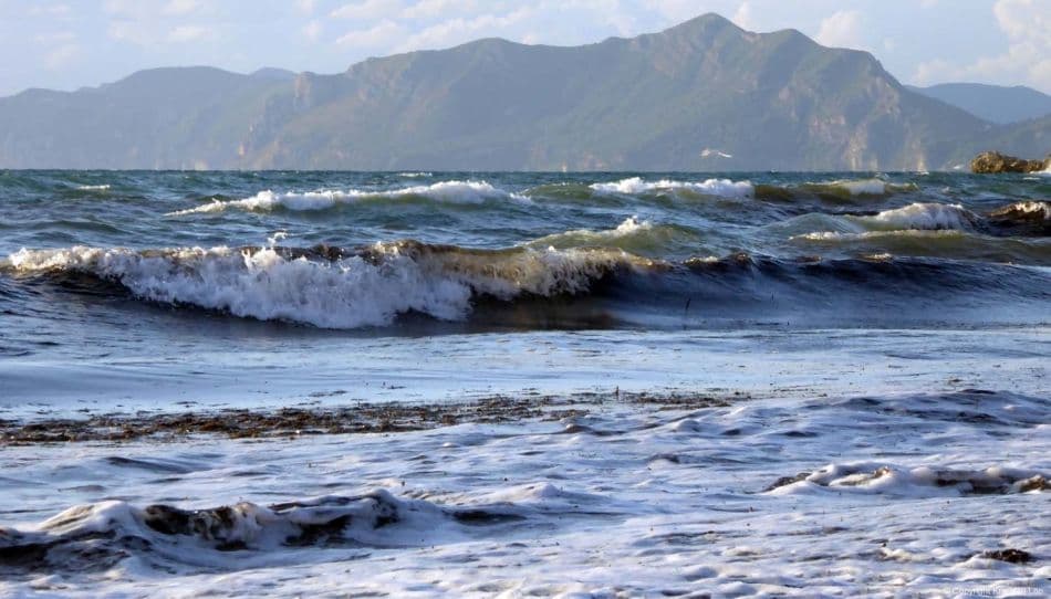 AR-17-COR-KR-105_export