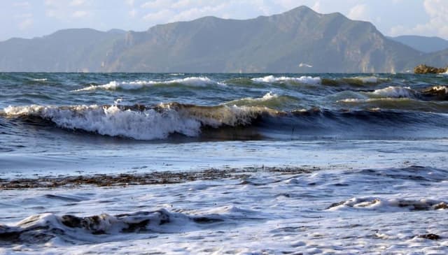 AR-17-COR-KR-105_export