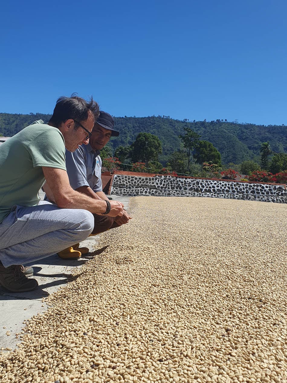 20240717 104931 Marieke Huys Marieke Huys W950