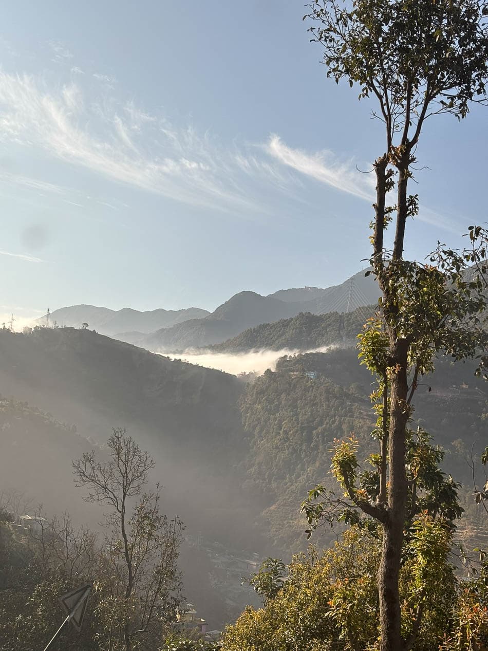 IMG 1028 NP5CNA Yves Cams W950