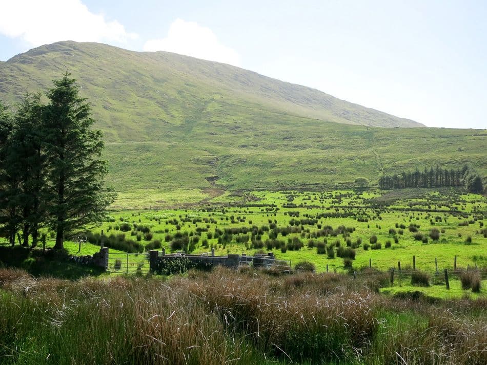 Beara-140_export_w950