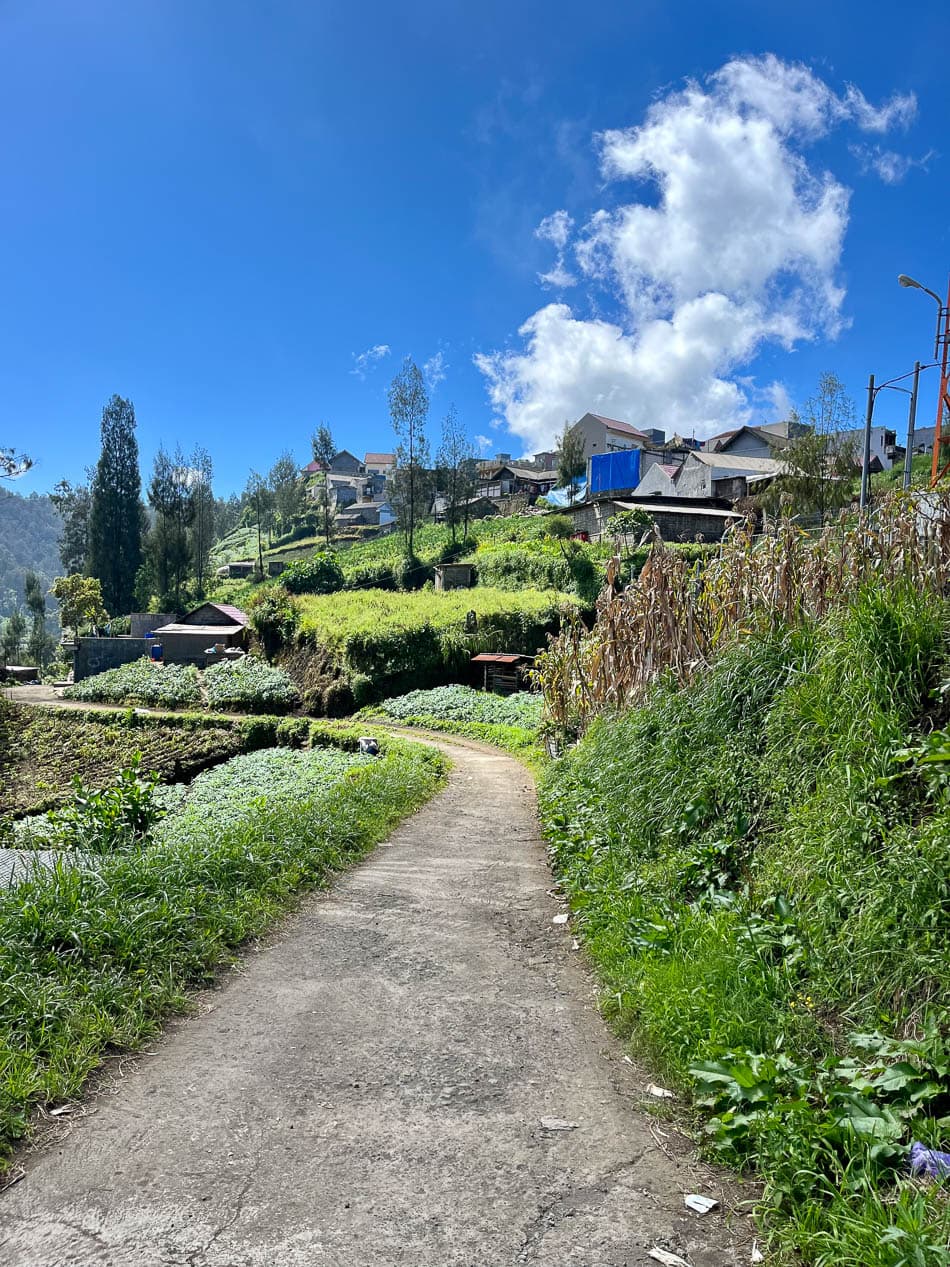 Image00015 Selectie Eveline Eveline Claes W950