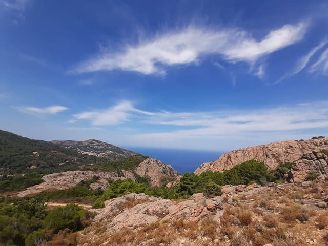 20200724_112309_export_w950