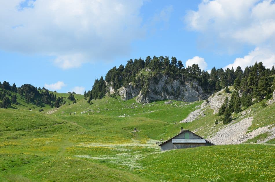 Bergerie-des-Chaumailloux-dans-le-Vercors-Quentin-Vanaker_export