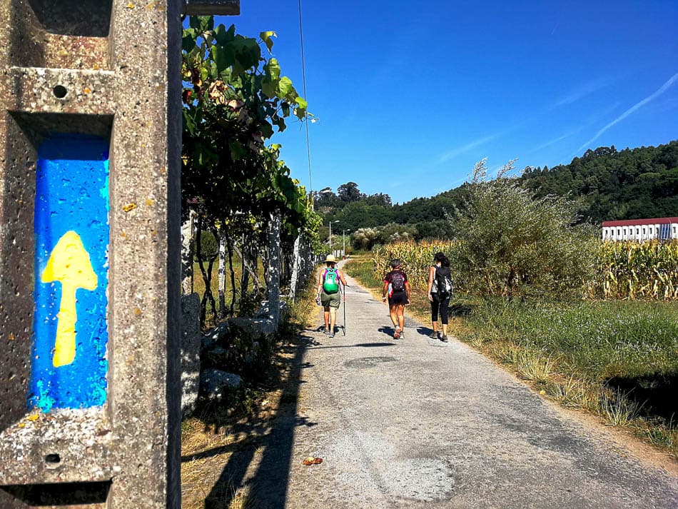 PGW Portuguese Camino #23 PT5PSB Jose Augusto Azevedo W950