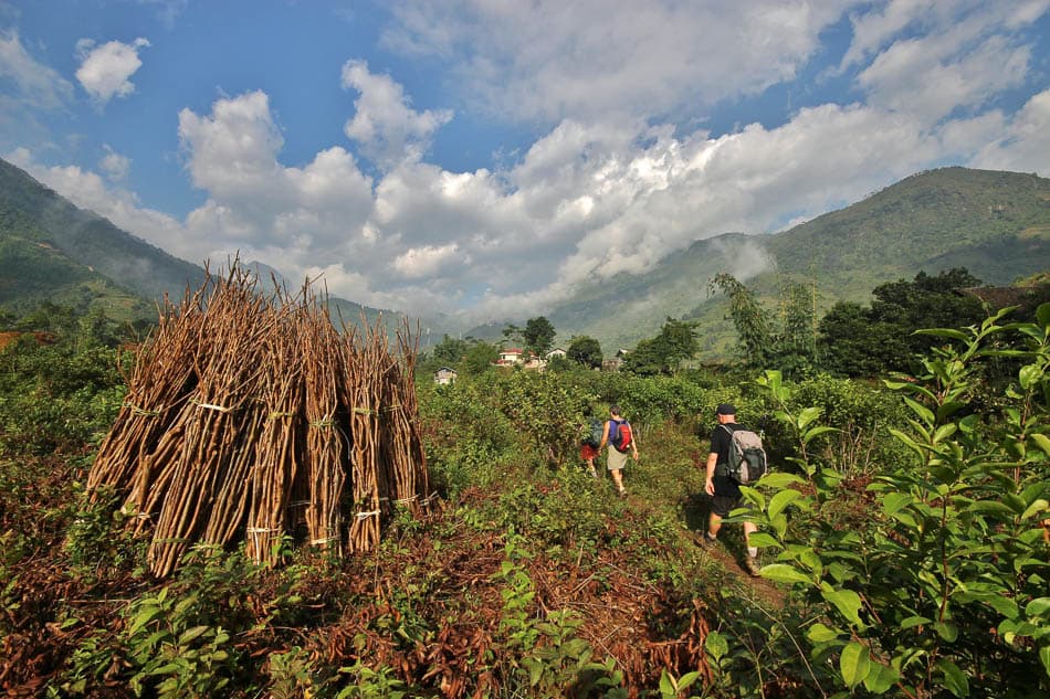 VN 248 Selectie Arne Vanwijnsberghe Arne Van Wijnsberghe W950