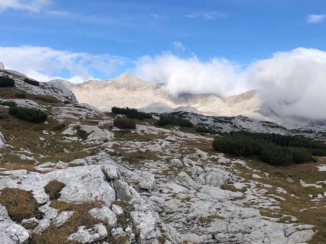 IMG-20210918-WA0066_Chantal Simons_w950