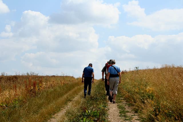 Selectie Cotswolds 2018 Deel 1 042 Sigrid De Maeseneer