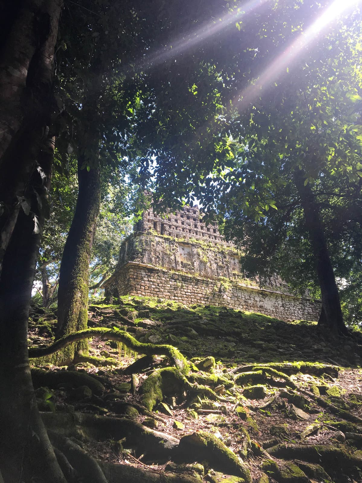 IMG 2447 Selectie Murielle Coppin W1280